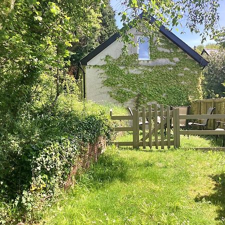 Ferienwohnung Y Bwthyn Bangor  Exterior foto